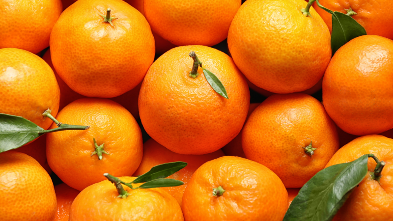 Agrociência-nacional-apresenta-nova-fórmula-para-o-manejo-do-greening