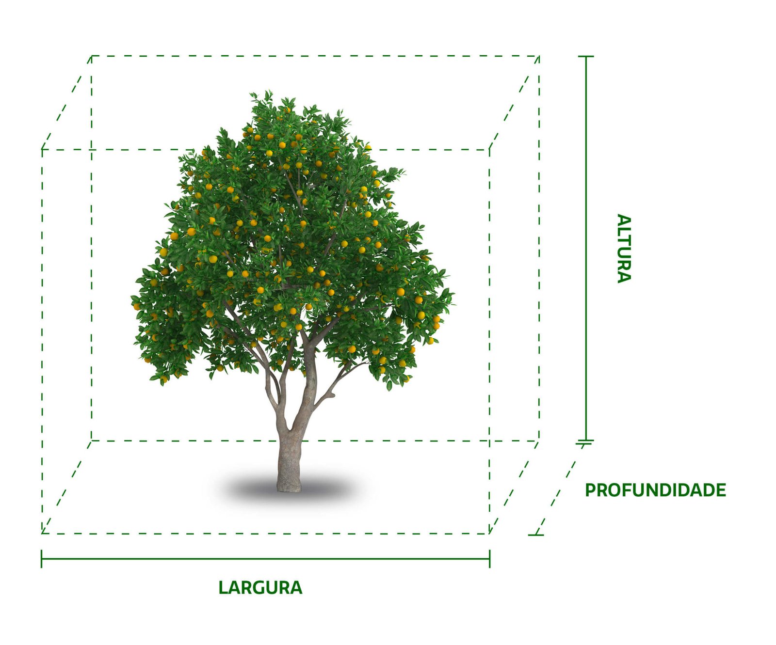GRANBLACK Fertilizante Foliar Organomineral Premium Como Calcular a Cubicagem da Planta de Citrus